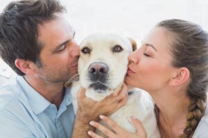 Two people kissing a dog