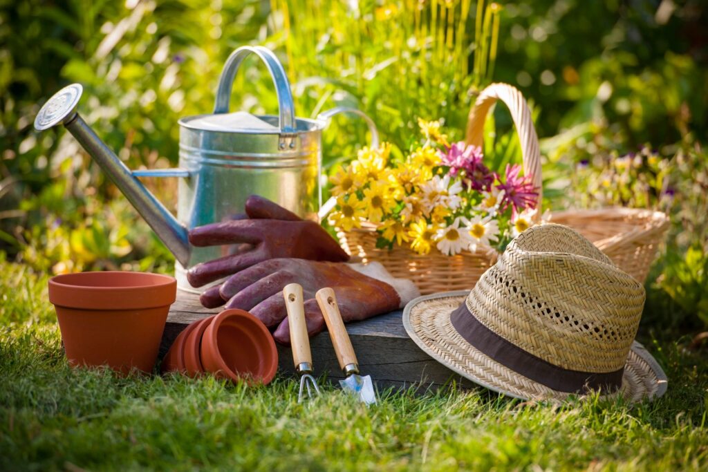 Gardening tools and supplies laid on the ground